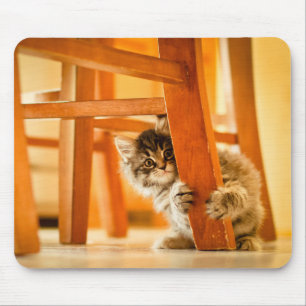 Alfombrilla De Ratón Gatito debajo de la silla