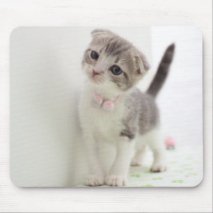 Alfombrilla De Ratón Gatito del doblez del escocés