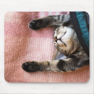 Alfombrilla De Ratón Gatito el dormitar