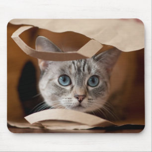 Alfombrilla De Ratón Gatito en bolso de ultramarinos