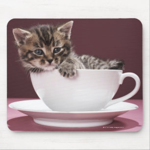 Alfombrilla De Ratón Gatito en taza y platillo