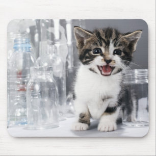 Alfombrilla De Ratón Gatito entre las botellas y los tarros reciclados