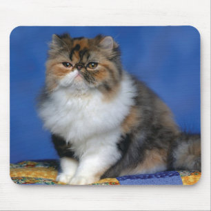 Alfombrilla De Ratón Gatito lindo M003 del gato