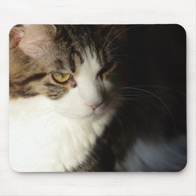Alfombrilla De Ratón Gatito Mousepad del Coon de Maine (Frente)