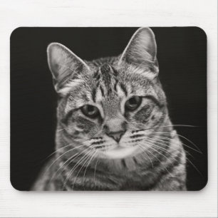 Alfombrilla De Ratón Gatito negro del Tabby