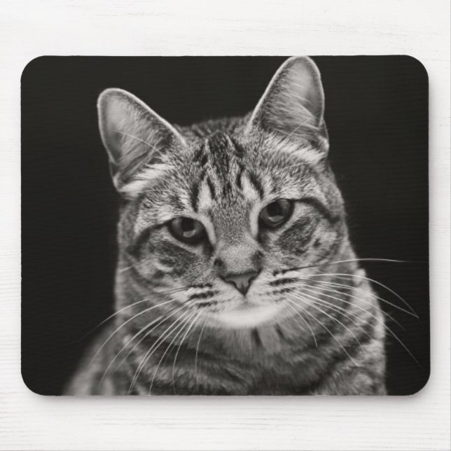 Alfombrilla De Ratón Gatito negro del Tabby (Frente)