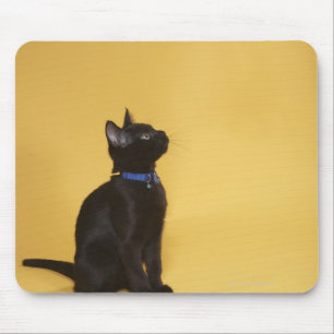 Alfombrilla De Ratón Gatito negro en cuello