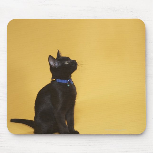Alfombrilla De Ratón Gatito negro en el cuello (Frente)