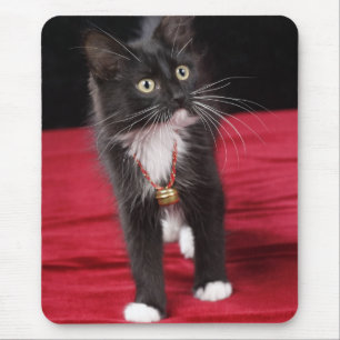 Alfombrilla De Ratón Gatito negro y blanco de pelo corto, 2 meses y med