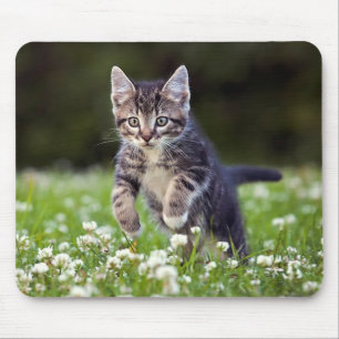 Alfombrilla De Ratón Gatito que corre a través de trébol