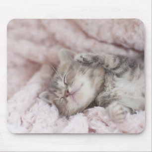 Alfombrilla De Ratón Gatito que duerme en la toalla