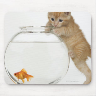Alfombrilla De Ratón Gatito que intenta conseguir en un goldfish