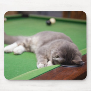Alfombrilla De Ratón Gatito que juega al billar