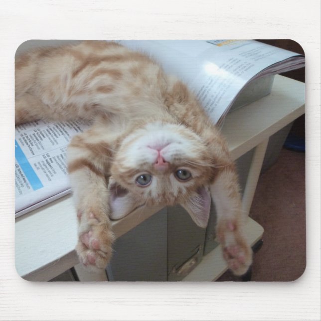 Alfombrilla De Ratón Gatito que se relaja (Frente)