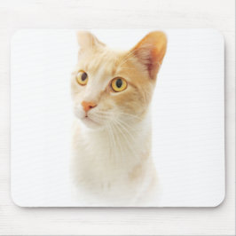 Alfombrilla De Ratón Gatito rubio maravilla preguntándose