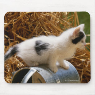 Alfombrilla De Ratón Gatito sentado encima de la lata de agua