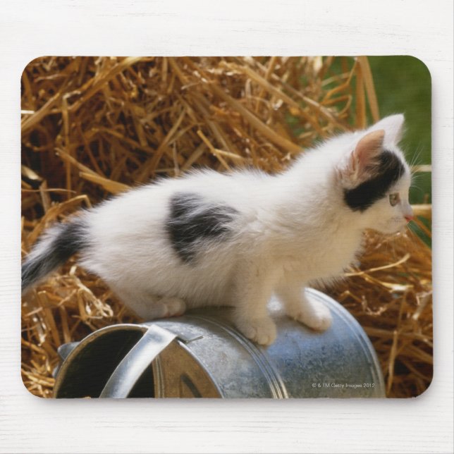 Alfombrilla De Ratón Gatito sentado encima de la lata de agua (Frente)