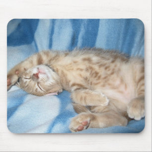Alfombrilla De Ratón Gatito soñoliento Mousepad