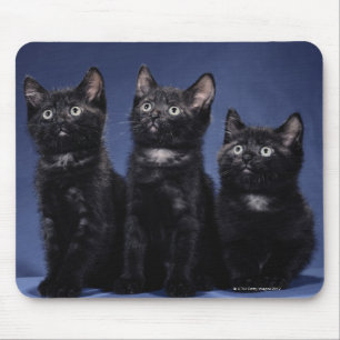 Alfombrilla De Ratón Gatitos