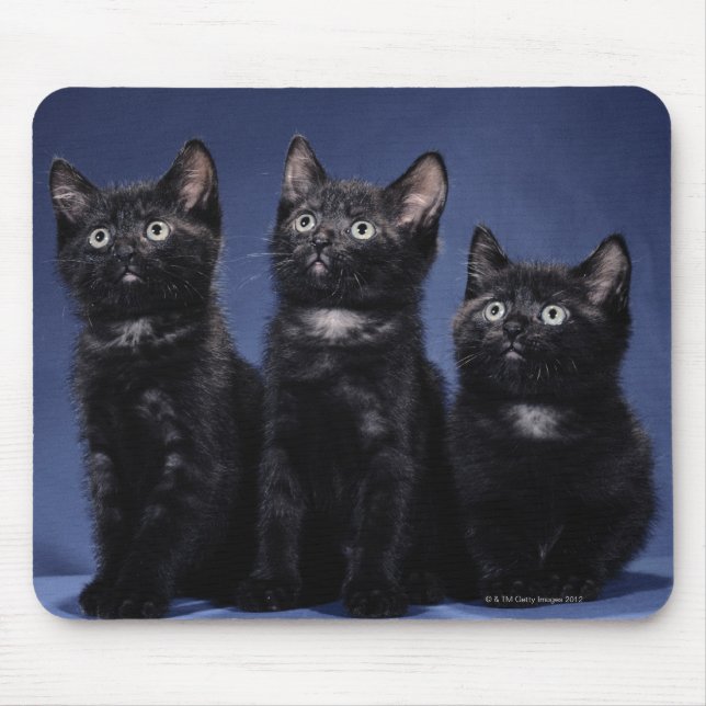Alfombrilla De Ratón Gatitos (Frente)