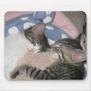Alfombrilla De Ratón Gatitos dulces el dormir
