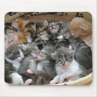 Alfombrilla De Ratón Gatitos el dormir