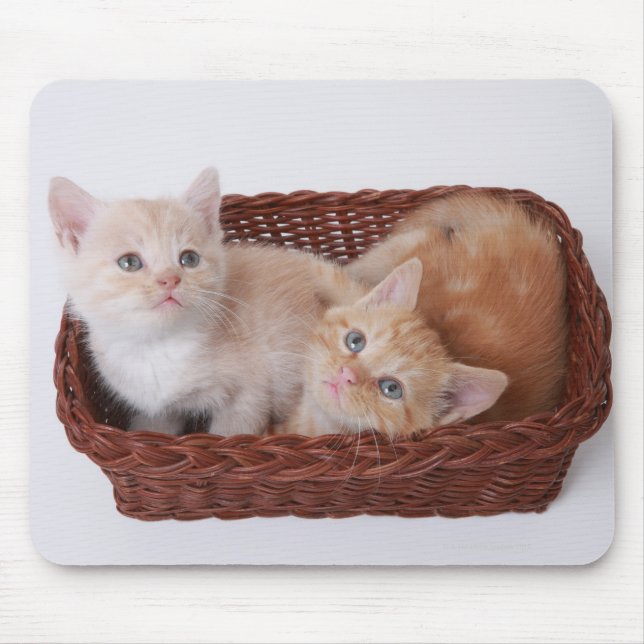 Alfombrilla De Ratón Gatitos en canasta (Frente)