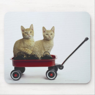 Alfombrilla De Ratón Gatitos en carro