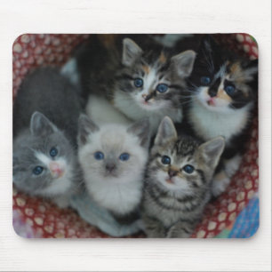 Alfombrilla De Ratón Gatitos en una cesta