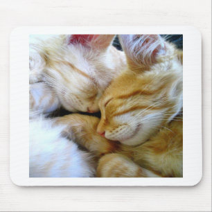 Alfombrilla De Ratón Gatitos Mousepad del Snuggle