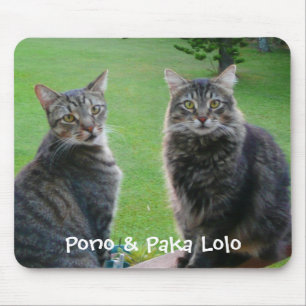 Alfombrilla De Ratón Gatitos Pono y Paka Lolo