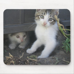 Alfombrilla De Ratón Gatitos que juegan en la granja Mousepad