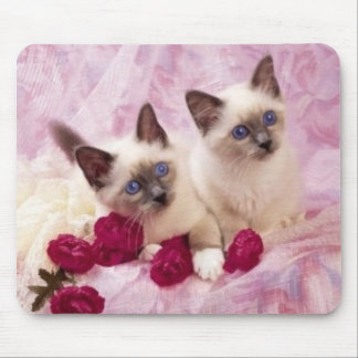 Alfombrilla De Ratón gatitos siameses