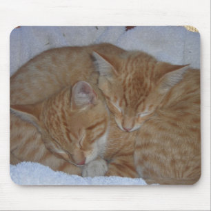 Alfombrilla De Ratón Gatitos somnolientos