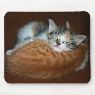 Alfombrilla De Ratón Gatitos suaves y soleados