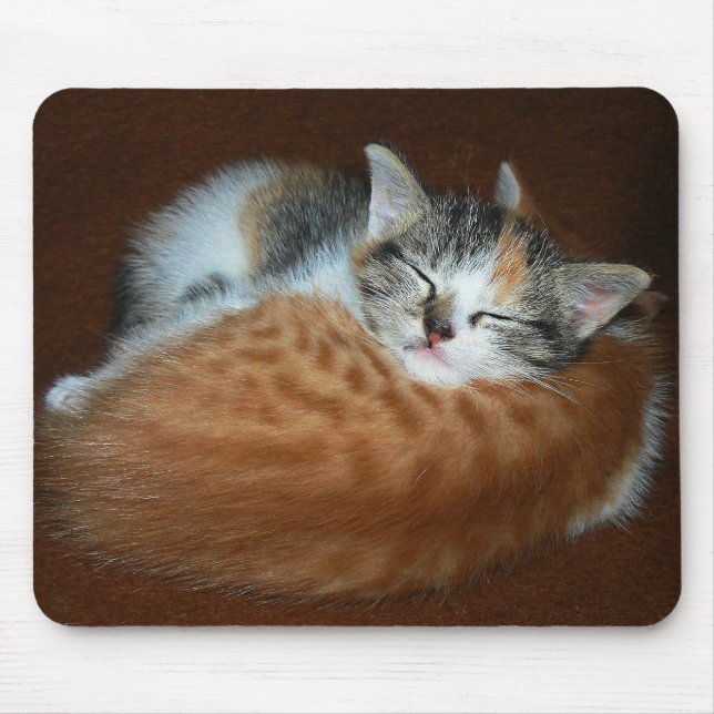 Alfombrilla De Ratón Gatitos suaves y soleados (Frente)