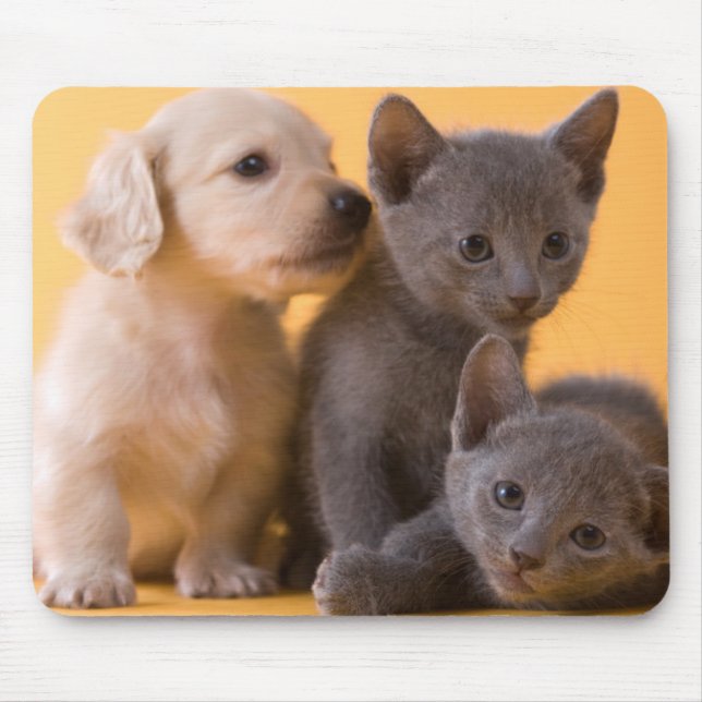 Alfombrilla De Ratón Gatitos y perritos azules rusos del Dachshund (Frente)