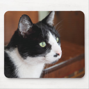 Alfombrilla De Ratón Gato