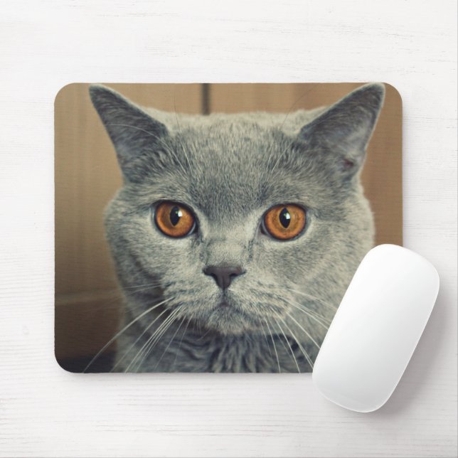 Alfombrilla De Ratón Gato (Con ratón)