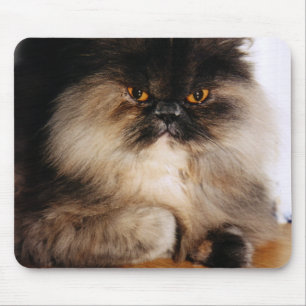 Alfombrilla De Ratón Gato