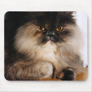 Alfombrilla De Ratón Gato