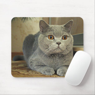 Alfombrilla De Ratón Gato