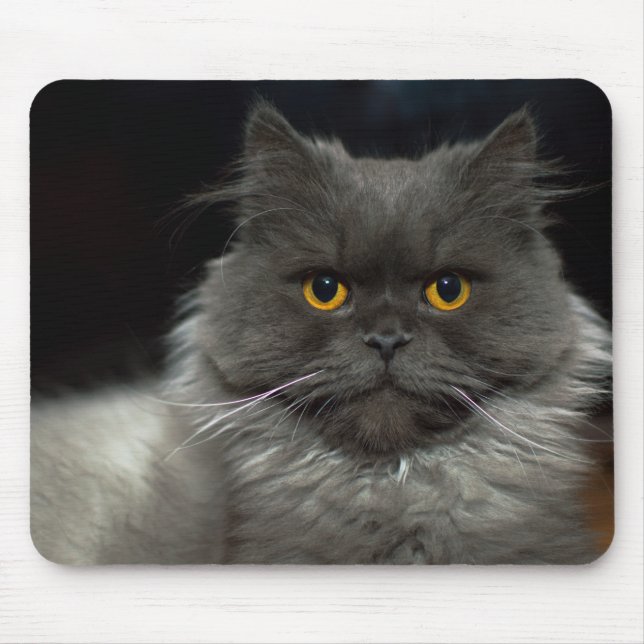 Alfombrilla De Ratón Gato (Frente)