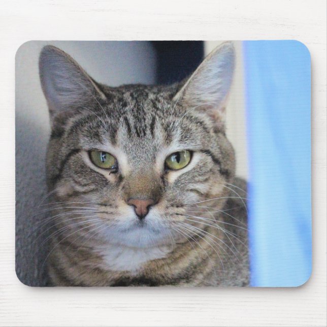 Alfombrilla De Ratón Gato (Frente)