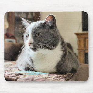 Alfombrilla De Ratón Gato