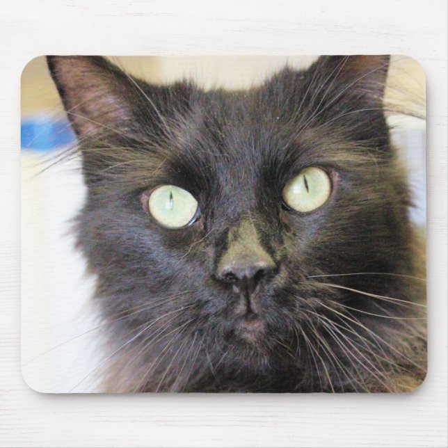 Alfombrilla De Ratón Gato (Frente)
