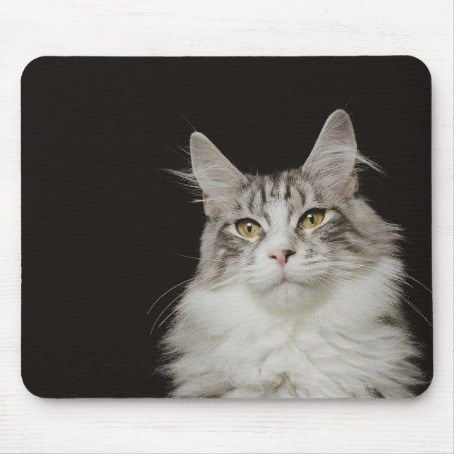 Alfombrilla De Ratón Gato adulto Maine Coon (Frente)