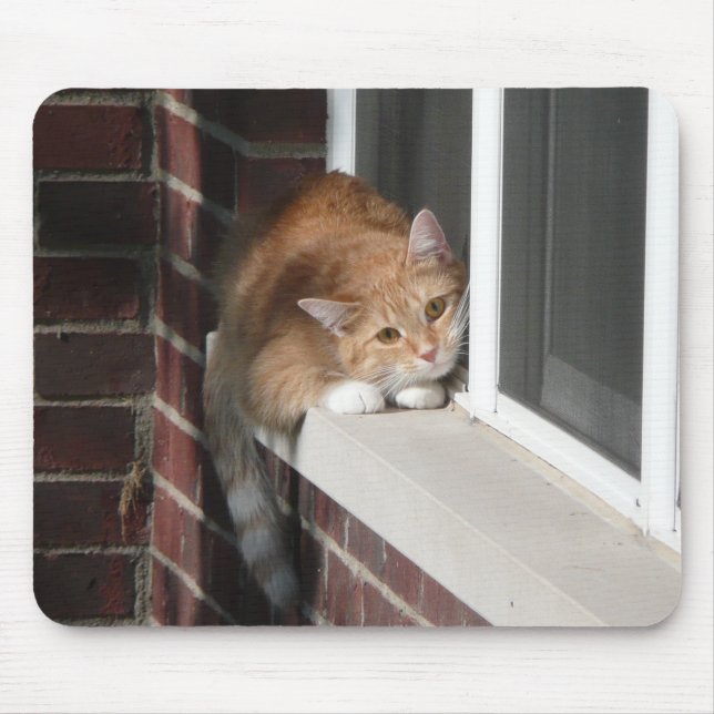 Alfombrilla De Ratón Gato anaranjado (Frente)