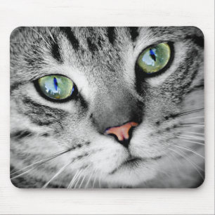 Alfombrilla De Ratón Gato Atigrado Gris de Ojos Verdes Primer Plano