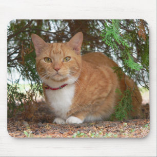 Alfombrilla De Ratón Gato atigrado naranja doméstico con jengibre